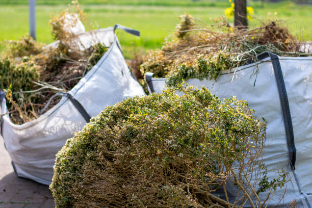 Best Professional Junk Removal  in Keaau, HI